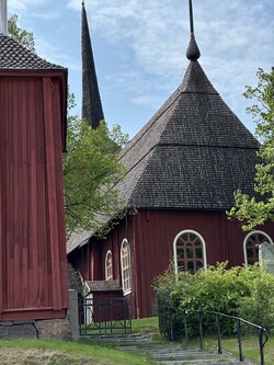 IMG 3552