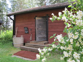 IMG 0309