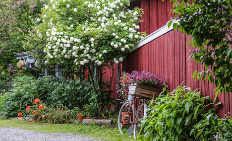 Öppna Portar 13.- 14.6. 2020 (Inställt på grund av COVID-19)